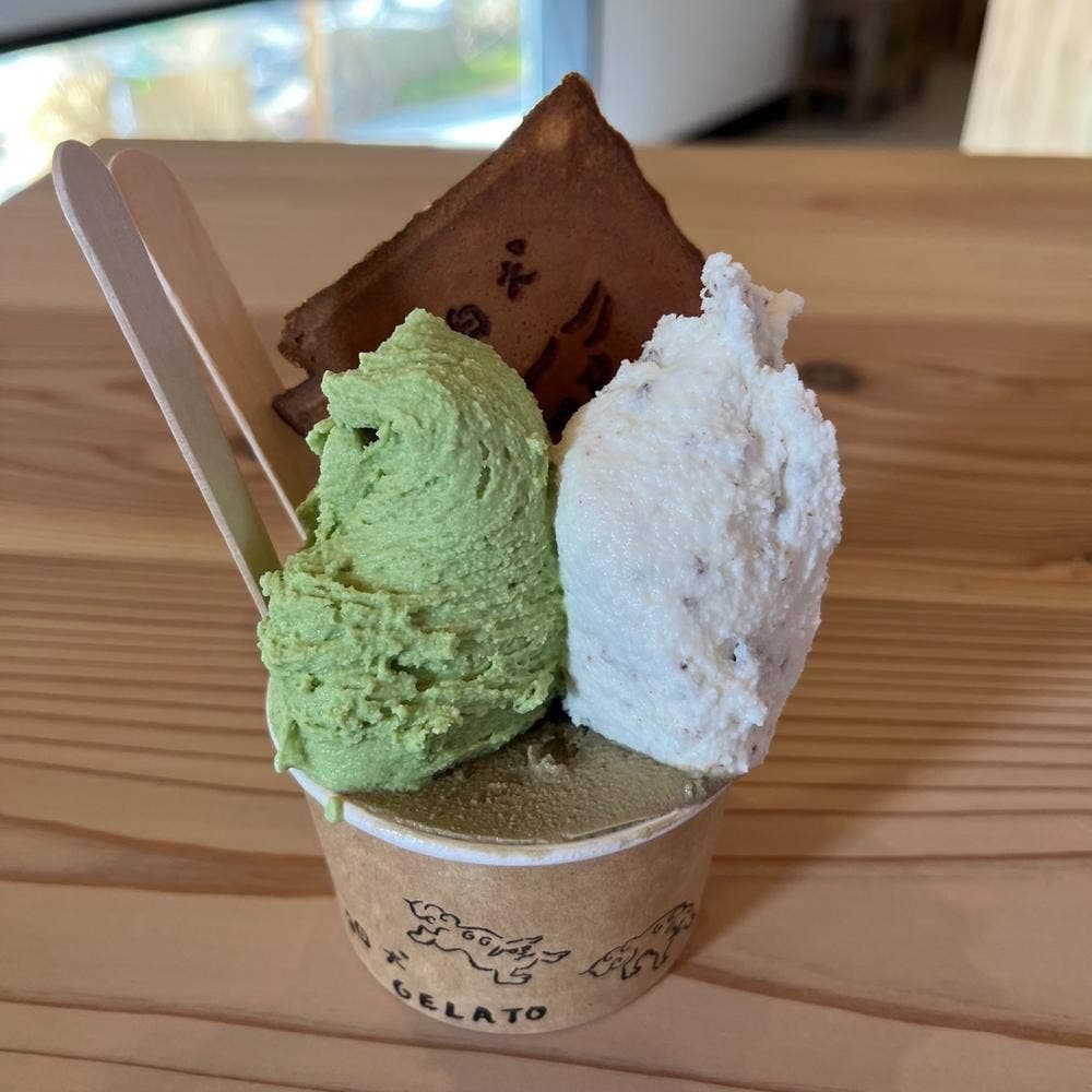 狛犬GELATO
