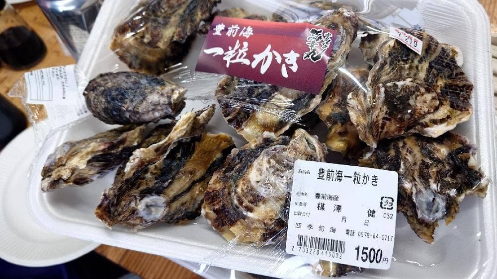 うみてらす豊前 豊築漁協直売所 四季旬海