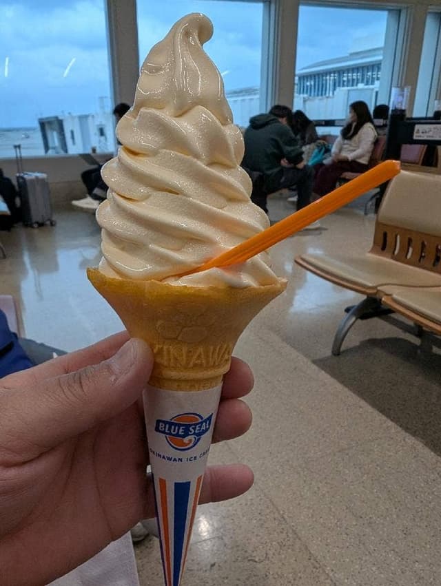 ANA FESTA 沖縄ゲート店 - サブ画像1