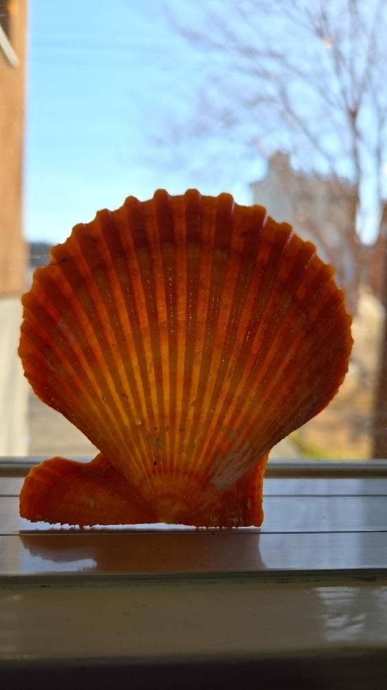 道の駅かまえ Buri Laboratory - サブ画像2