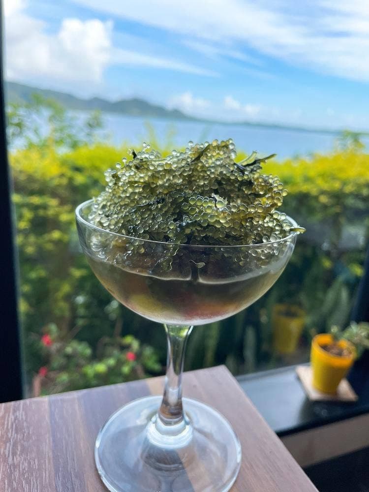 レストランforest プチリゾート ネイティブシー奄美