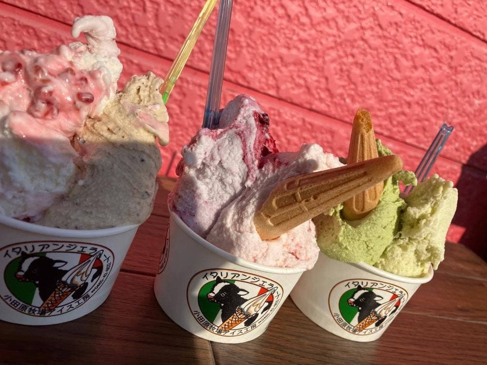 小田原牧場アイス工房