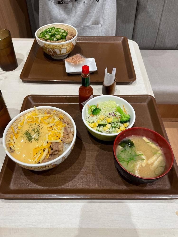 すき家 白岡岡泉店