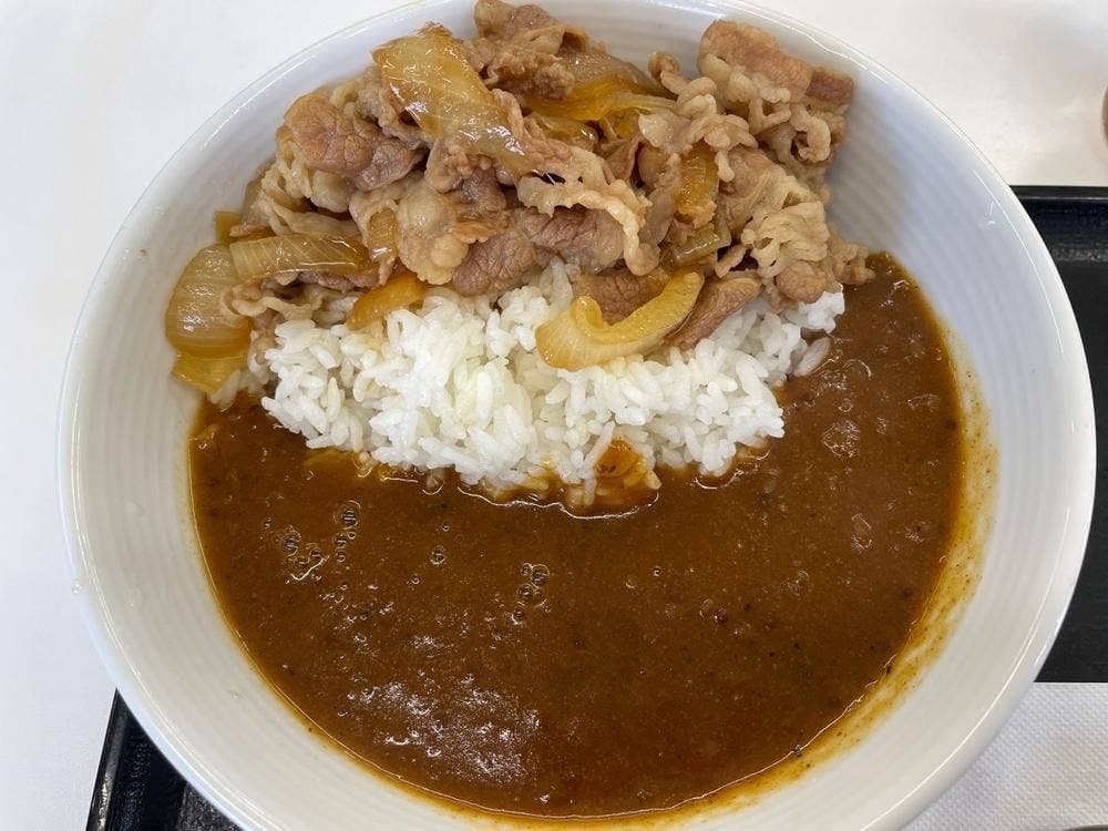 吉野家 1号線岡崎東店