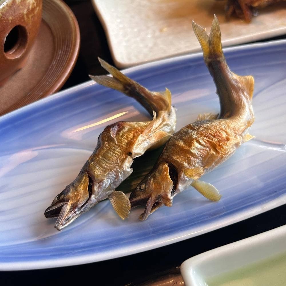 ふなとの里