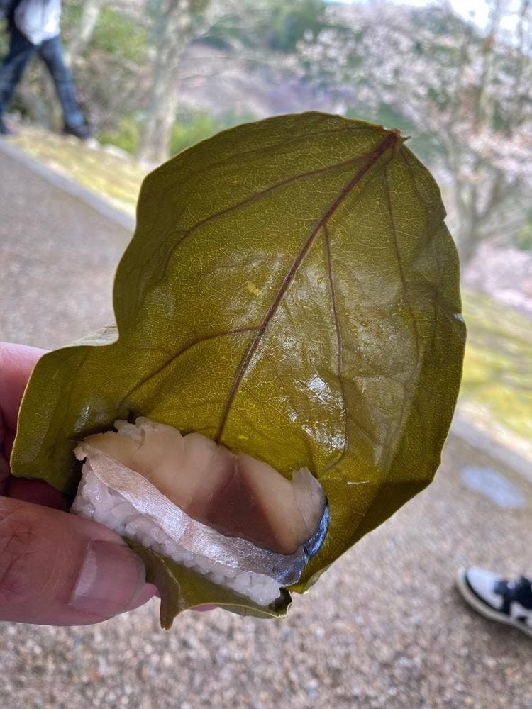 柿の葉ずし にしや