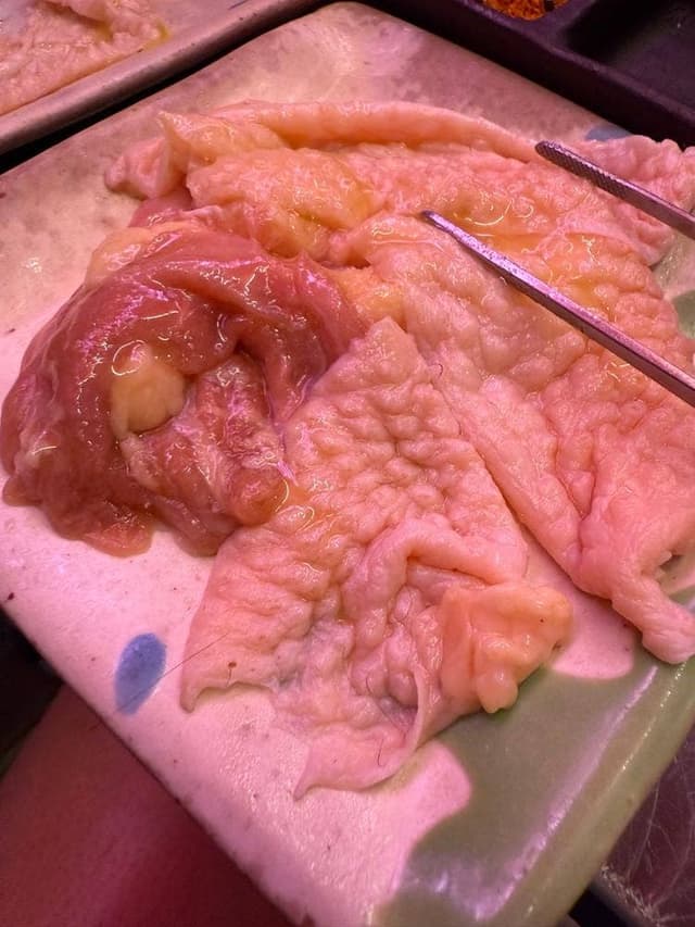 地鶏 焼き鳥鍋 サン 那覇の店 - サブ画像2