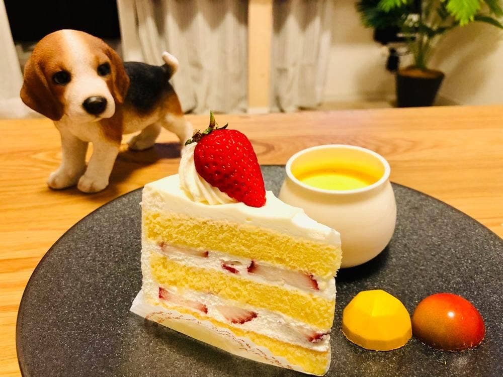 ポムホッペ
