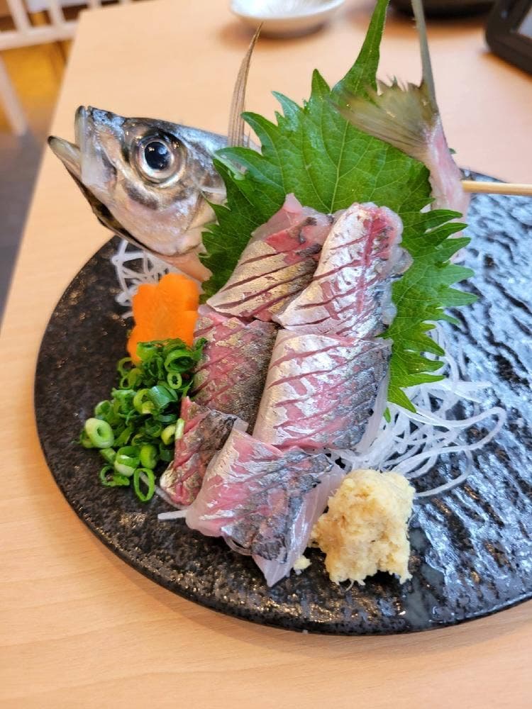 釣り師 鯵仙人