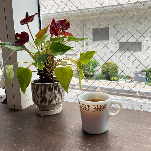 unplugged coffee stand - サブ画像3