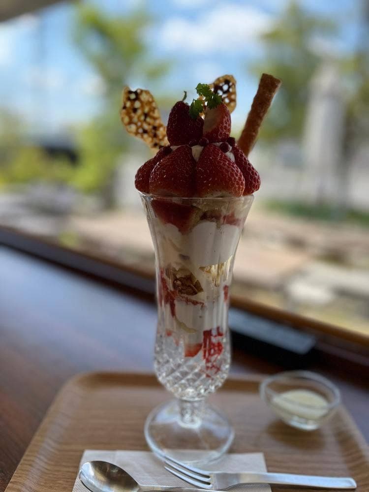 アリエールグー