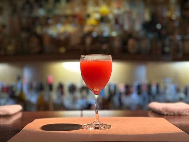 WORLD LIQUEUR BAR BOLS - サブ画像2