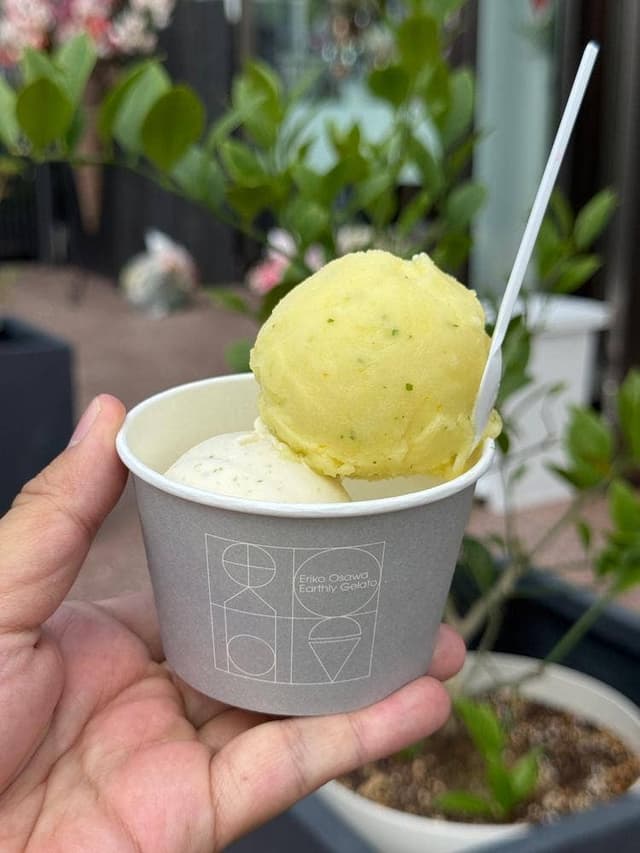 Eriko Osawa Earthly Gelato - サブ画像2