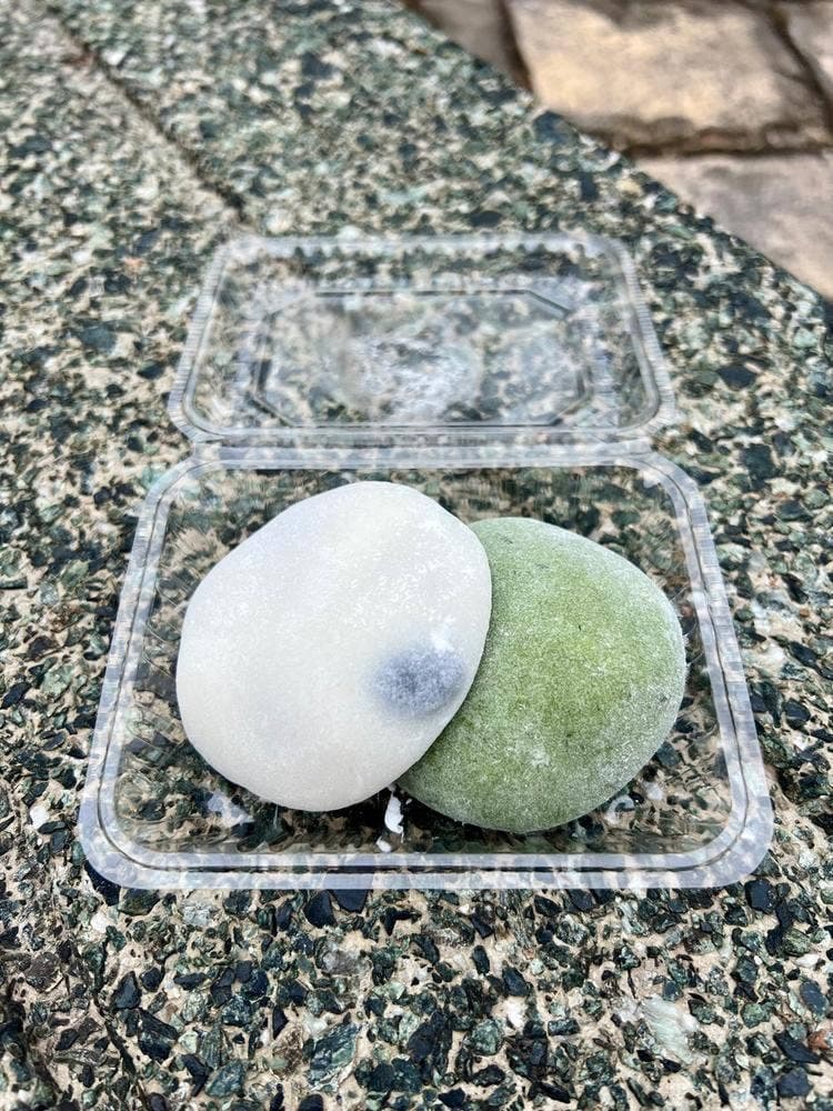 みなともち本店