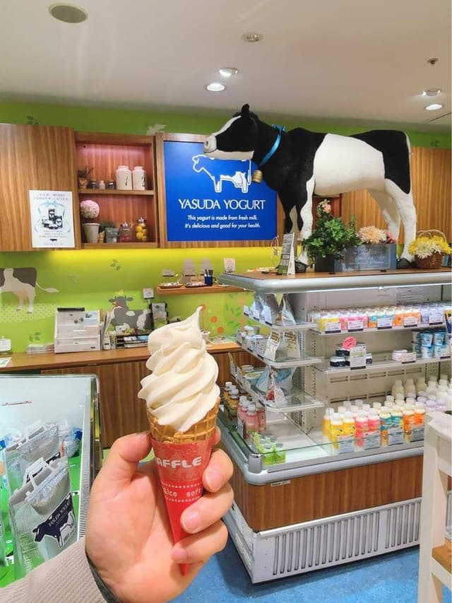 ヤスダヨーグルトショップ CoCoLo長岡店 - サブ画像1