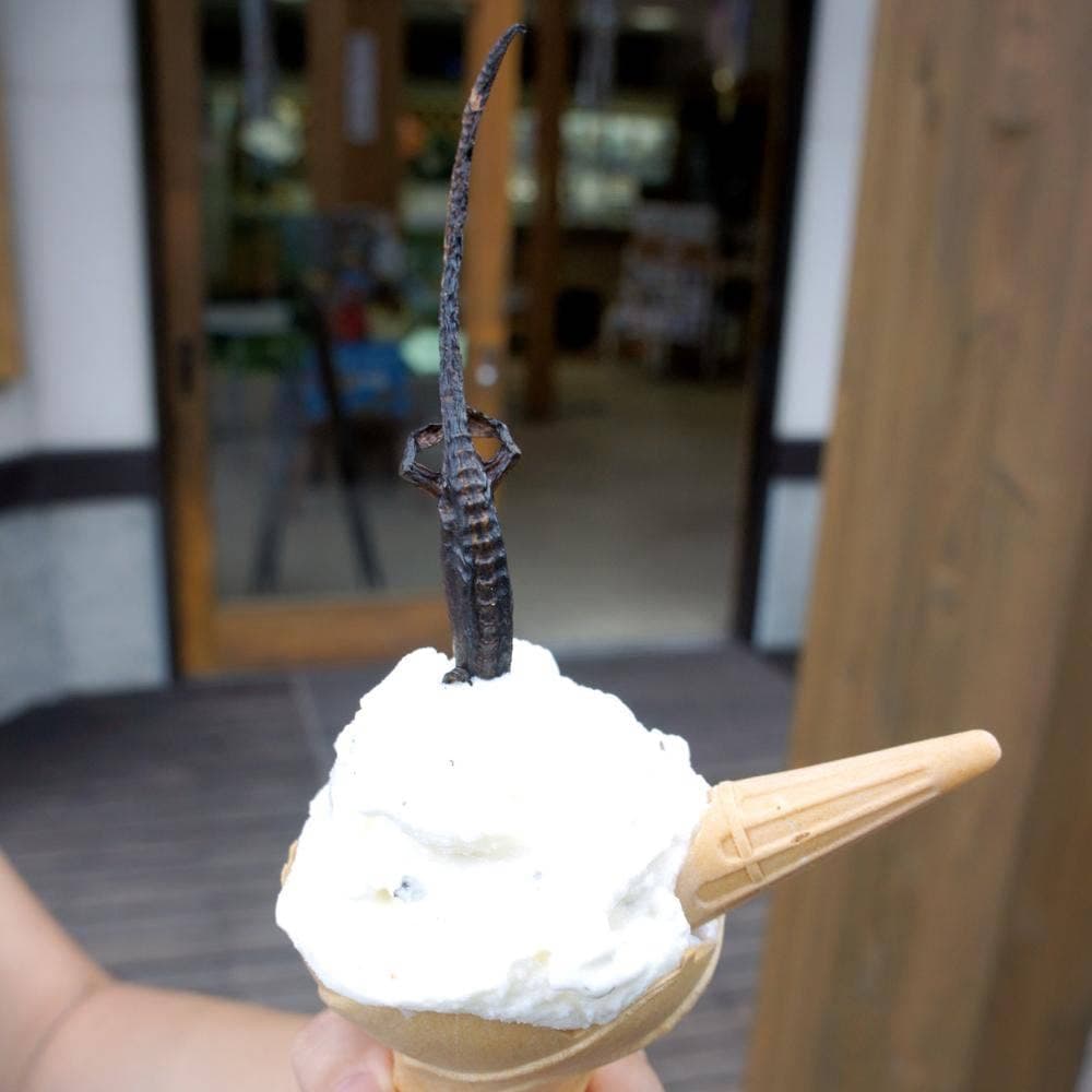 ミニ尾瀬公園 インフォメーションセンターカフェ