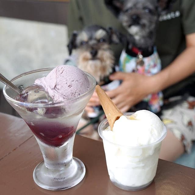 ミニ尾瀬公園 インフォメーションセンターカフェ - サブ画像2