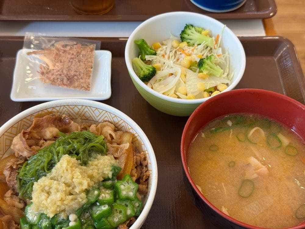 すき家 1国茅ヶ崎十間坂店