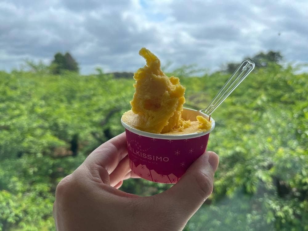 ミルキッシモ 函館五稜郭タワー店