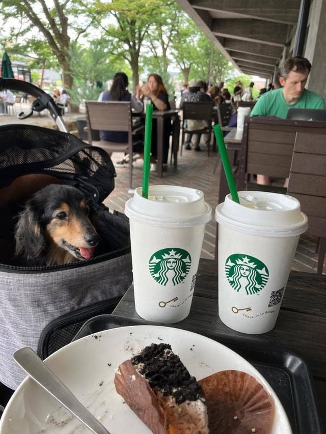 スターバックス コーヒー 京都岡崎蔦屋書店 - サブ画像1