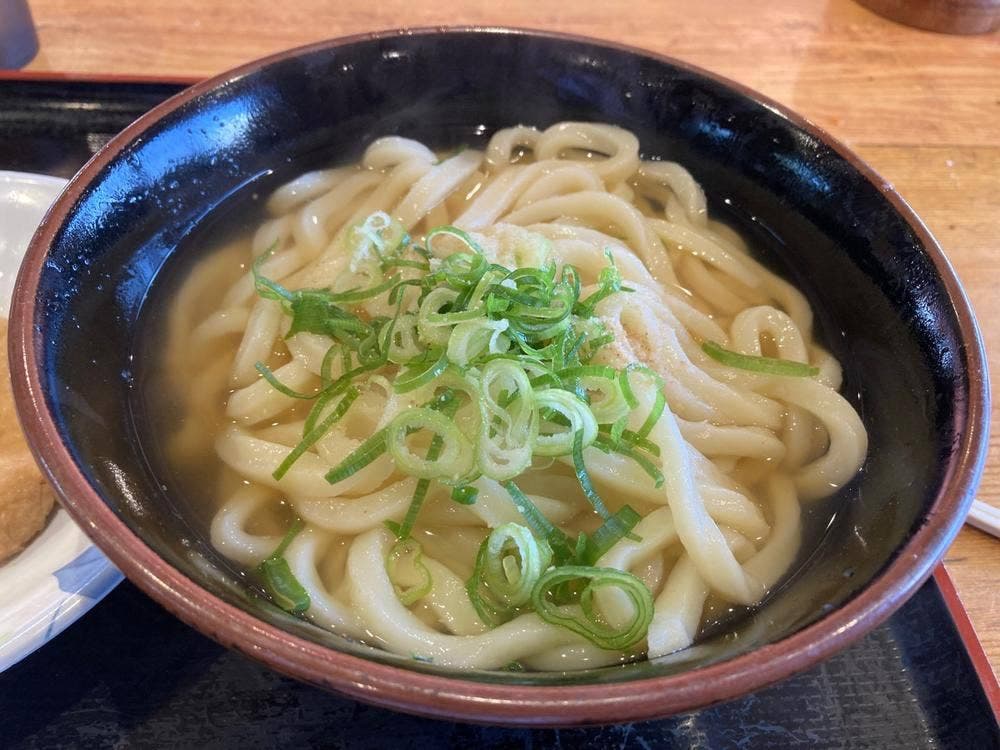 うつ海うどん