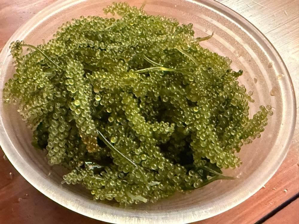 沖縄食市 RAYARD MIYASHITA PARK