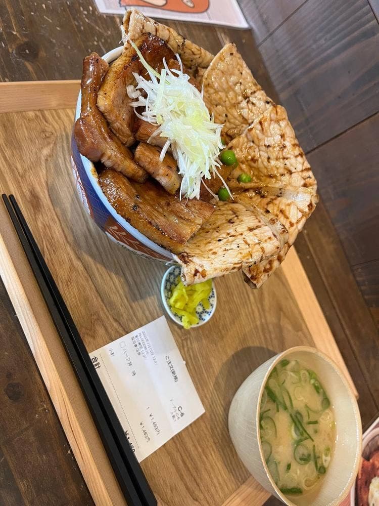 元祖豚丼屋 TONTON 岡崎店