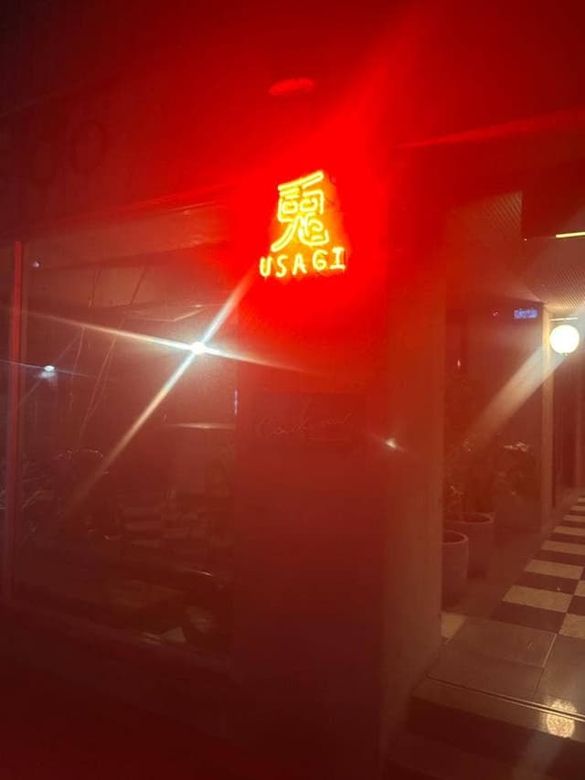 兎 USAGI - サブ画像2