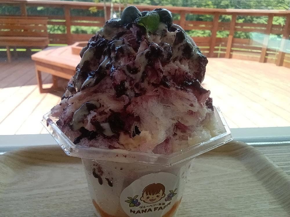 ブルーベリー農園 NANA FARM