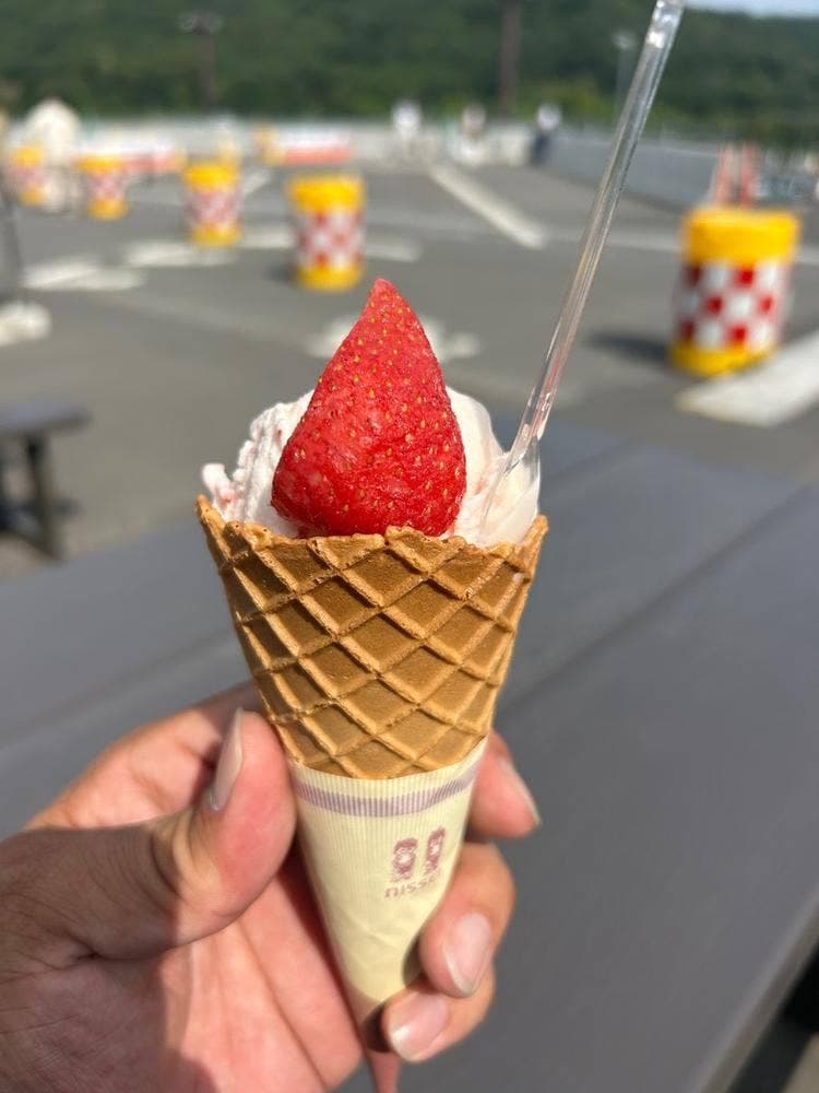 佐野サービスエリア上り