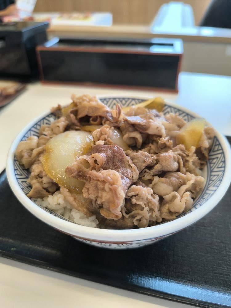 吉野家 21号線大垣北店