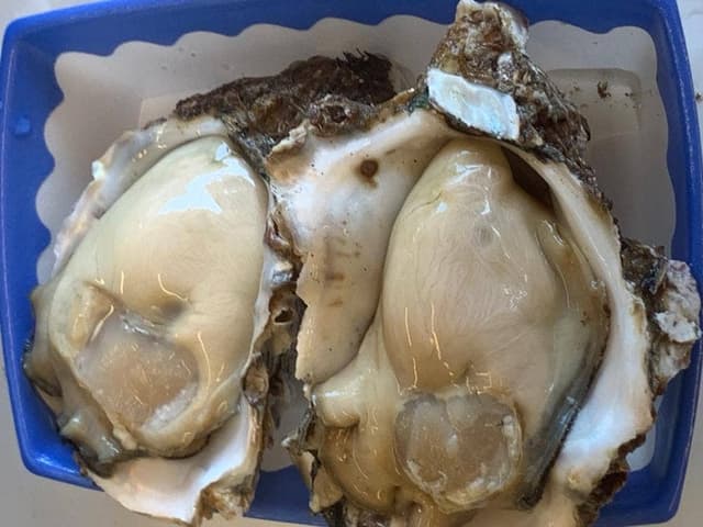 カネマル水産鮮魚店 食菜館くらら - サブ画像3