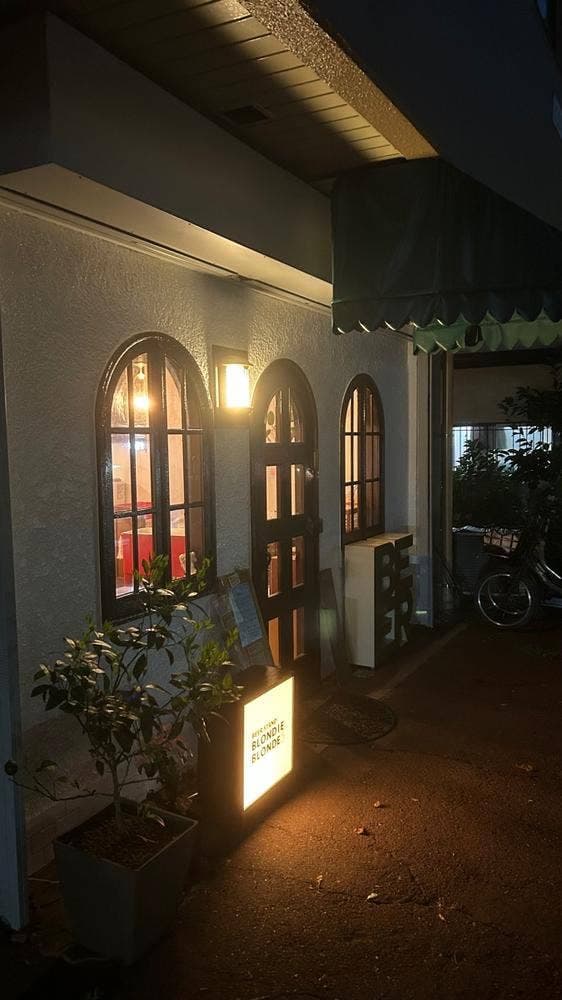 BLONDIE BLONDE - サブ画像1