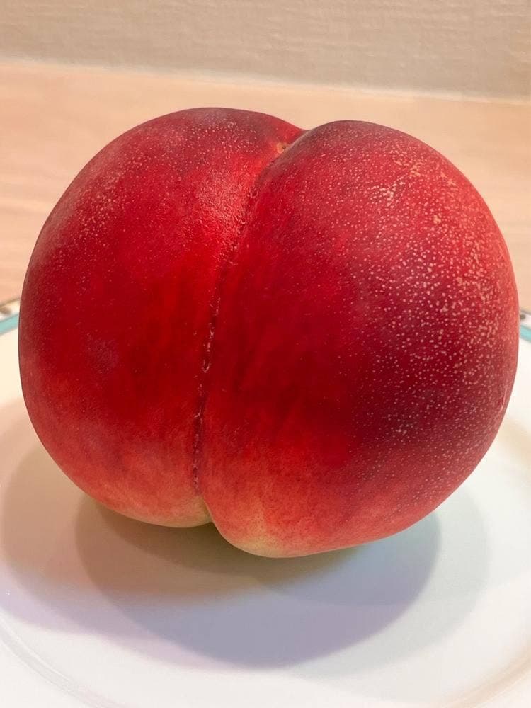 ハヤシフルーツ 東急百貨店たまプラーザ店B1東急フードショー内