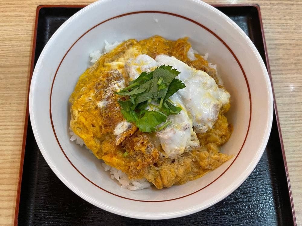 かつさと 豊川151号店