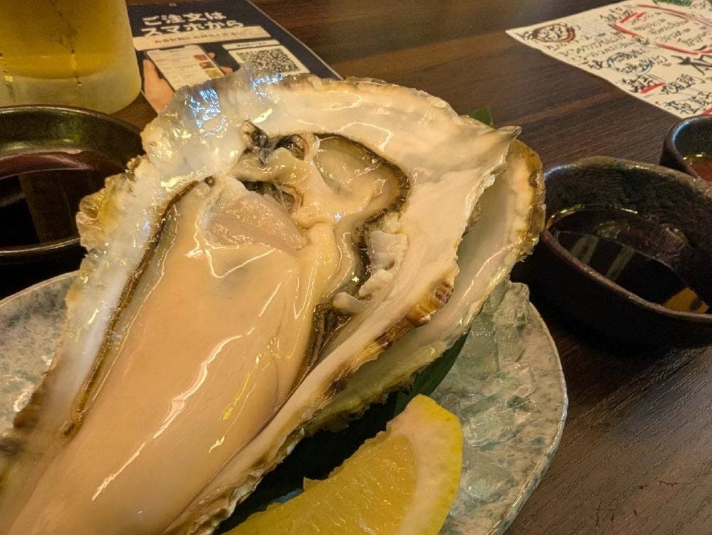 酒場 黄達磨 戸塚