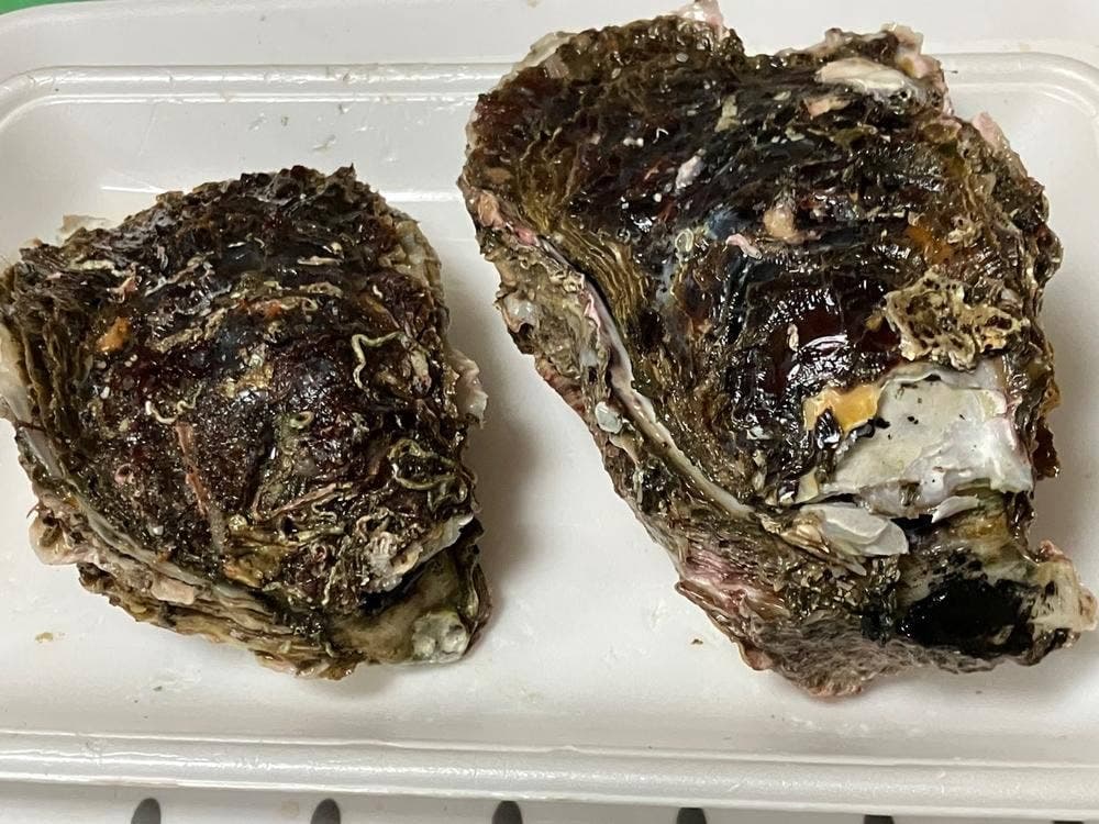 網元 石井丸干物店
