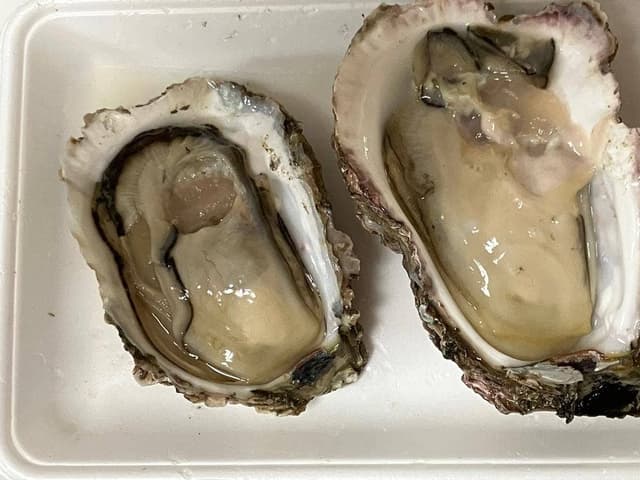 網元 石井丸干物店 - サブ画像3