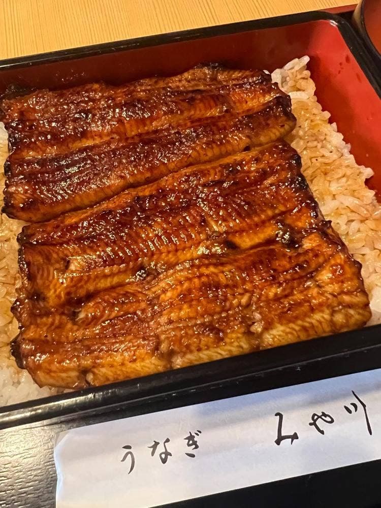 うなぎみや川 高津