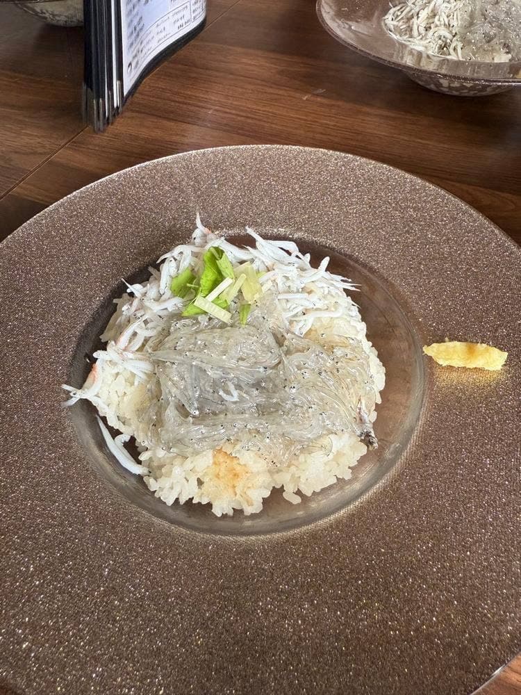 しらす研究所 鎌倉