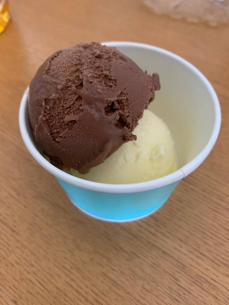 もみの樹