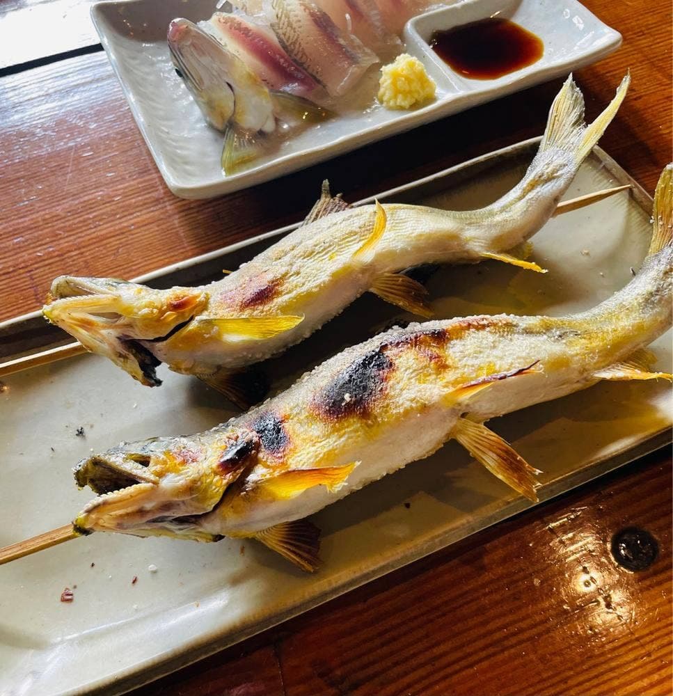 あゆの里 矢沢のヤナ