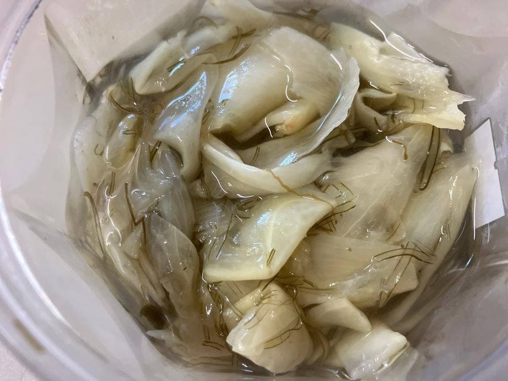 元祖白えびせんべい 白えび屋 きときと市場 とやマルシェ