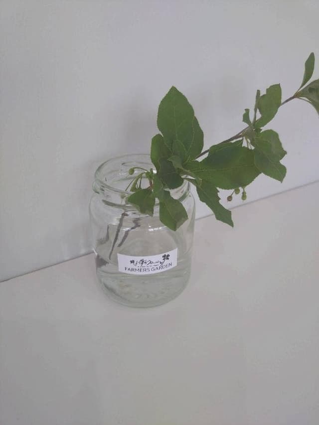 よつ葉のクローバー Farmers Garden - サブ画像2