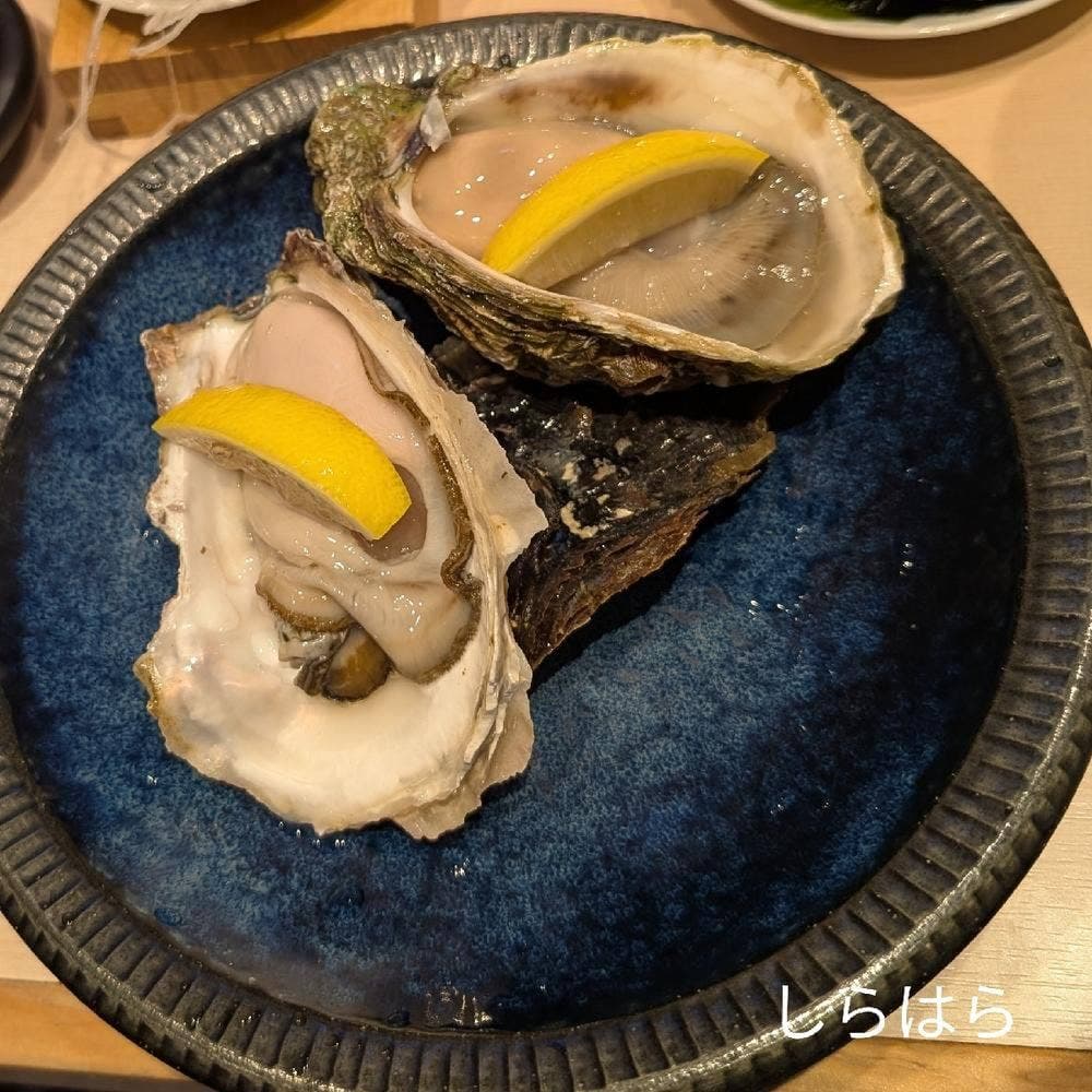 貝・刺身専門店 しらはら 野毛