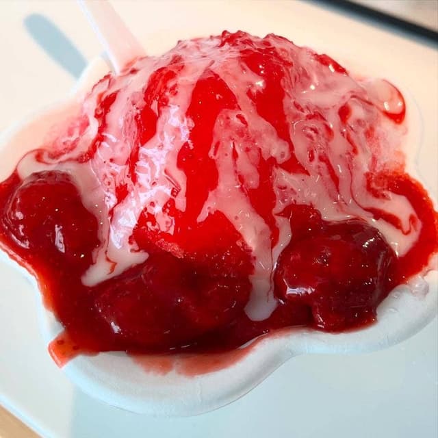 オーシャンカフェ 新江ノ島水族館 - サブ画像3