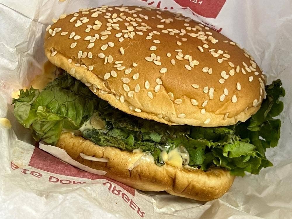 ドムドムハンバーガー 浅草花やしき店