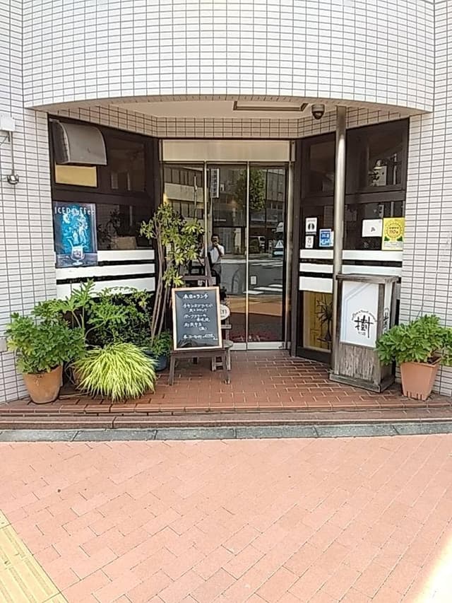 樹 - サブ画像2