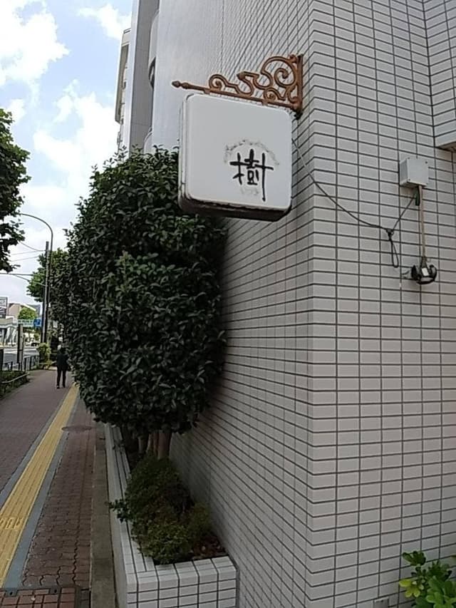 樹 - サブ画像3