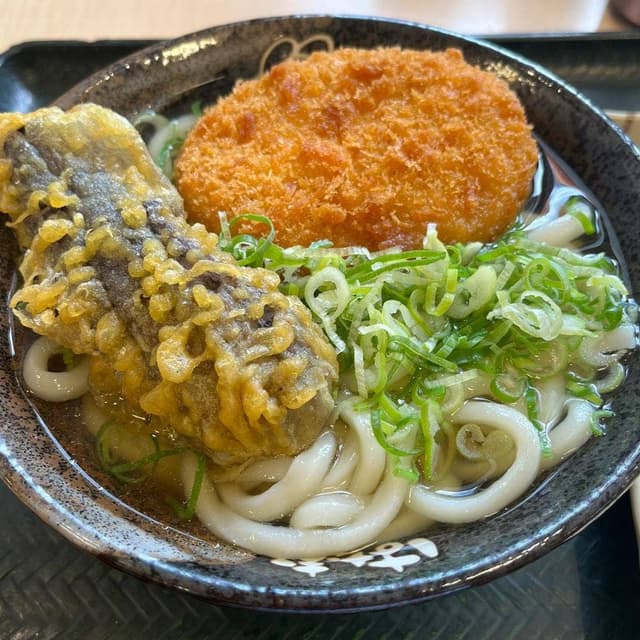 はなまるうどん 高知四万十店 - サブ画像1